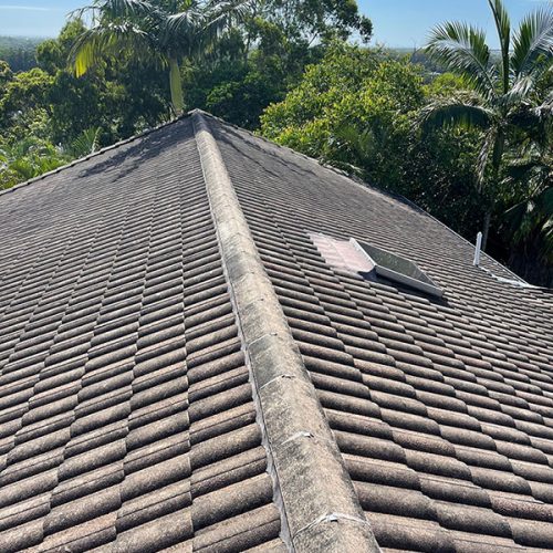 Roof Cleaning Inner Pic 3 soft wash - roof tiles