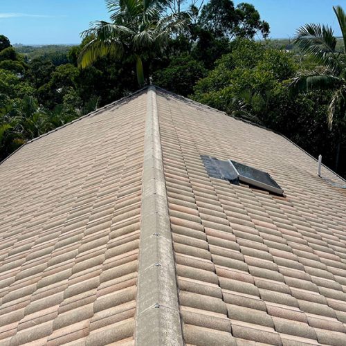 Roof Cleaning Inner Pic 4 soft wash - clean roof